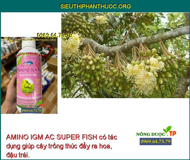 AMINO IGM AC SUPER FISH có tác dụng giúp cây trồng thúc đẩy ra hoa, đậu trái.