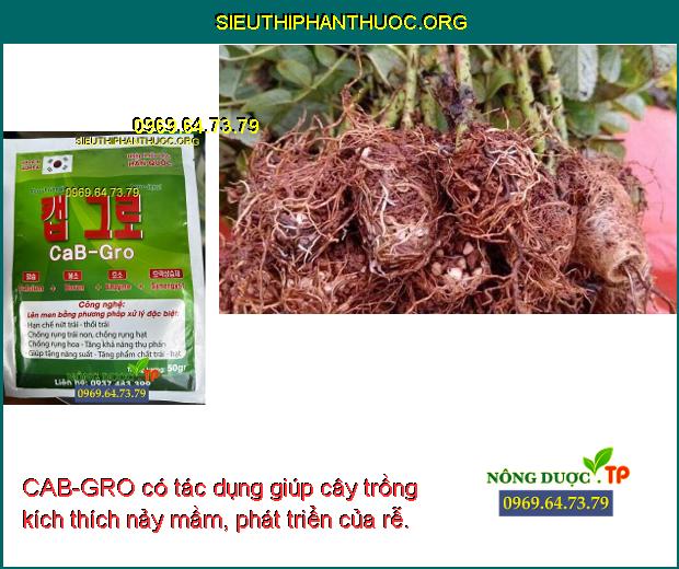 CAB-GRO có tác dụng giúp cây trồng kích thích nảy mầm, phát triển của rễ.