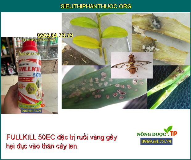 FULLKILL 50EC đặc trị ruồi vàng gây hại đục vào thân cây lan. 