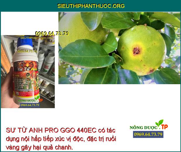 SƯ TỬ ANH PRO GGO 440EC có tác dụng nội hấp tiếp xúc vị độc, đặc trị ruồi vàng gây hại quả chanh.