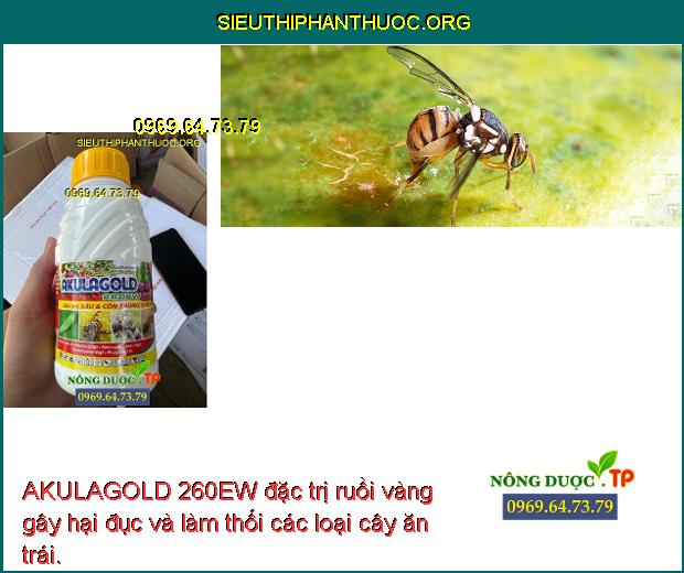 AKULAGOLD 260EW đặc trị ruồi vàng gây hại đục và làm thối các loại cây ăn trái.