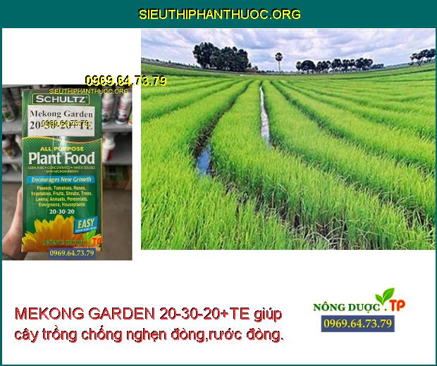 MEKONG GARDEN 20-30-20+TE giúp cây trồng chống nghẹn đòng,rước đòng.