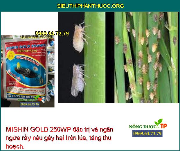 MISHIN GOLD 250WP đặc trị và ngăn ngừa rầy nâu gây hại trên lúa, tăng thu hoạch.