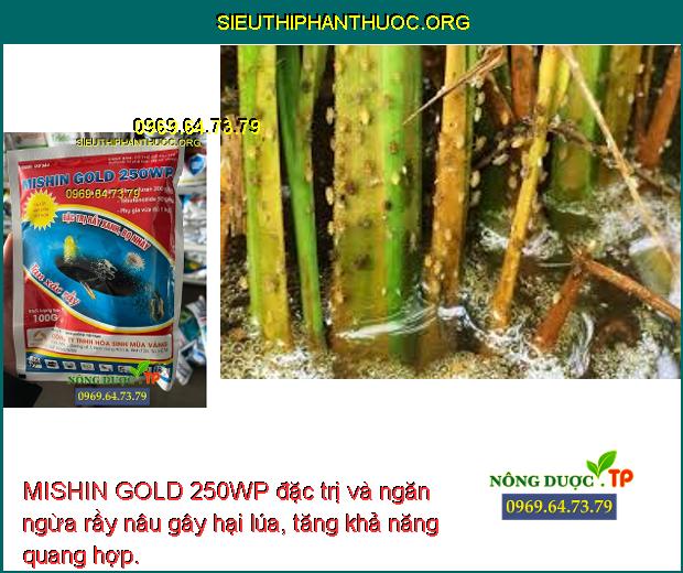 MISHIN GOLD 250WP đặc trị và ngăn ngừa rầy nâu gây hại lúa, tăng khả năng quang hợp.