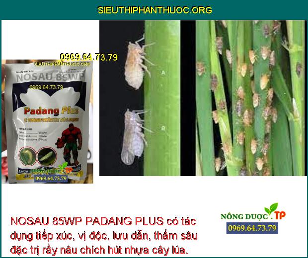 NOSAU 85WP PADANG PLUS có tác dụng tiếp xúc, vị độc, lưu dẫn, thấm sâu đặc trị rầy nâu chích hút nhựa cây lúa.