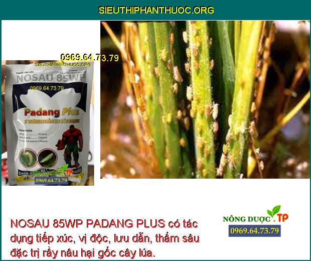 NOSAU 85WP PADANG PLUS có tác dụng tiếp xúc, vị độc, lưu dẫn, thấm sâu đặc trị rầy nâu hại gốc cây lúa.