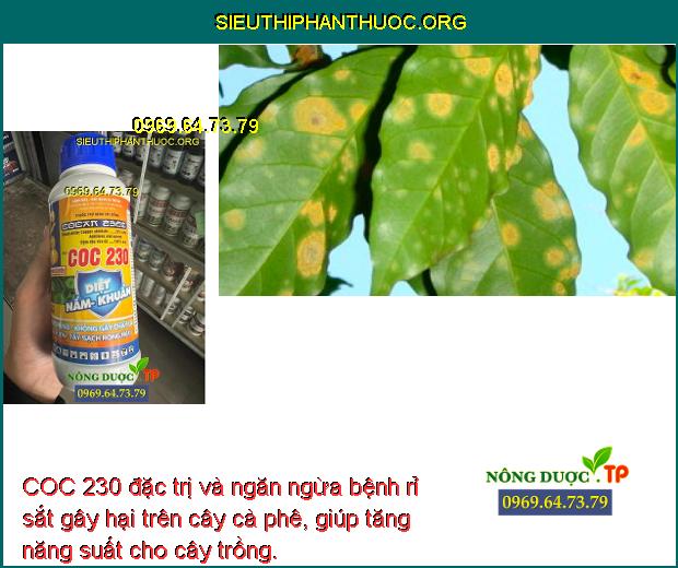 COC 230 đặc trị và ngăn ngừa bệnh rỉ sắt gây hại trên cây cà phê, giúp tăng năng suất cho cây trồng.