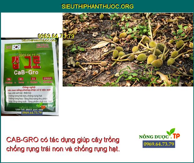 CAB-GRO có tác dụng giúp cây trồng chống rụng trái non và chống rụng hạt.