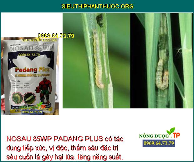 NOSAU 85WP PADANG PLUS có tác dụng tiếp xúc, vị độc, thấm sâu đặc trị sâu cuốn lá gây hại lúa, tăng năng suất.