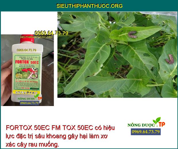 FORTOX 50EC FM TOX 50EC có hiệu lực đặc trị sâu khoang gây hại làm xơ xác cây rau muống.
