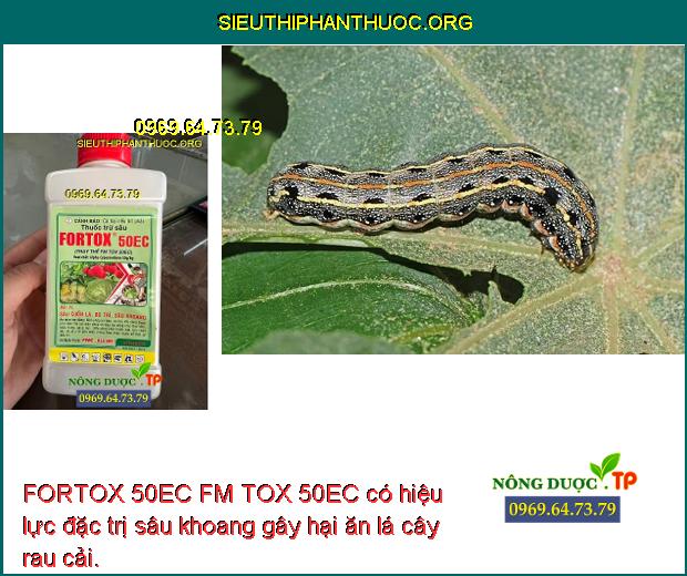 FORTOX 50EC FM TOX 50EC có hiệu lực đặc trị sâu khoang gây hại ăn lá cây rau cải.