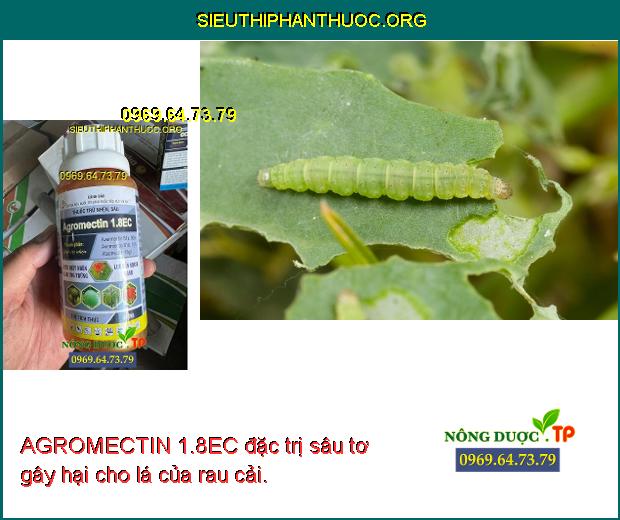 AGROMECTIN 1.8EC đặc trị sâu tơ gây hại cho lá của rau cải.