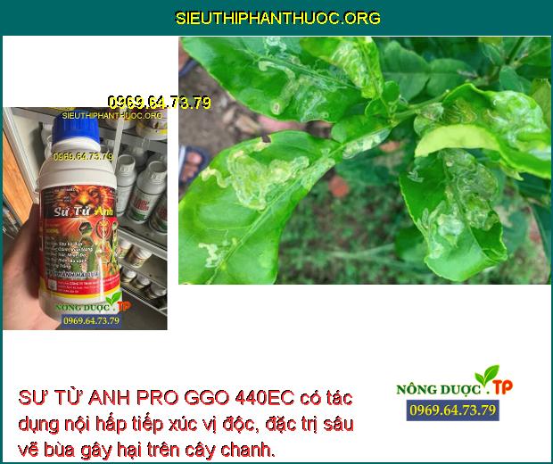 SƯ TỬ ANH PRO GGO 440EC có tác dụng nội hấp tiếp xúc vị độc, đặc trị sâu vẽ bùa gây hại trên cây chanh.