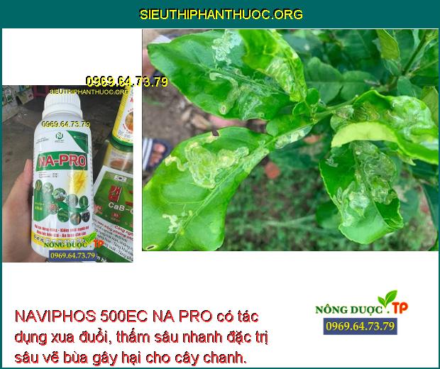 NAVIPHOS 500EC NA PRO có tác dụng xua đuổi, thấm sâu nhanh đặc trị sâu vẽ bùa gây hại cho cây chanh.