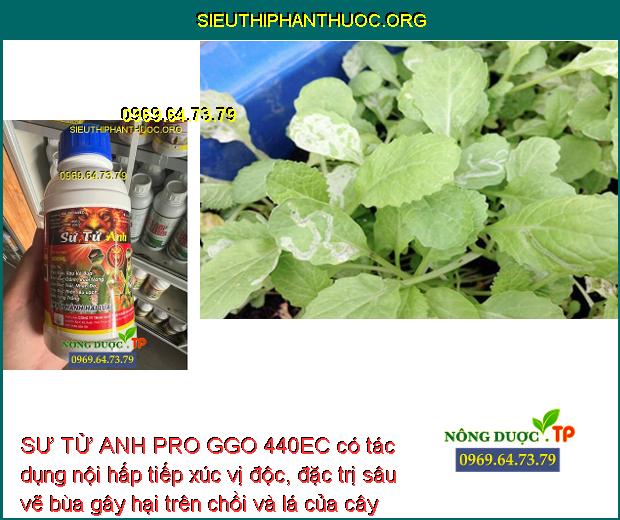 SƯ TỬ ANH PRO GGO 440EC có tác dụng nội hấp tiếp xúc vị độc, đặc trị sâu vẽ bùa gây hại trên chồi và lá của cây rau cải.