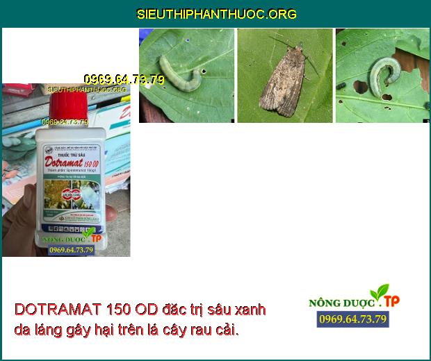 DOTRAMAT 150 OD đăc trị sâu xanh da láng gây hại trên lá cây rau cải.