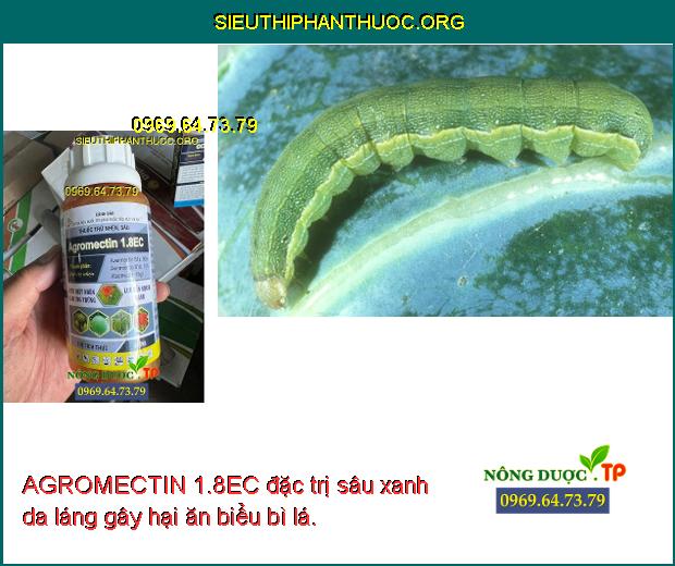 AGROMECTIN 1.8EC đặc trị sâu xanh da láng gây hại ăn biểu bì lá.