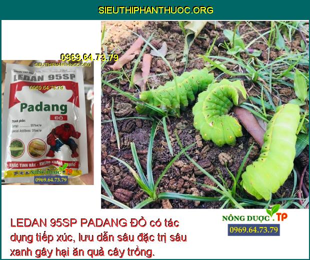 LEDAN 95SP PADANG ĐỎ có tác dụng tiếp xúc, lưu dẫn sâu đặc trị sâu xanh gây hại ăn quả cây trồng.