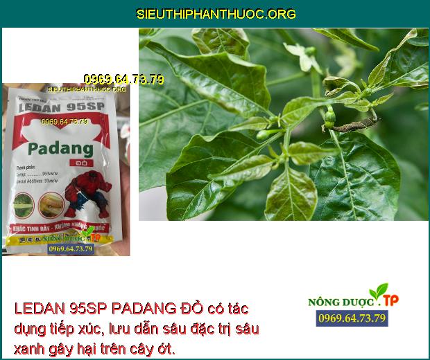 LEDAN 95SP PADANG ĐỎ có tác dụng tiếp xúc, lưu dẫn sâu đặc trị sâu xanh gây hại trên cây ớt.