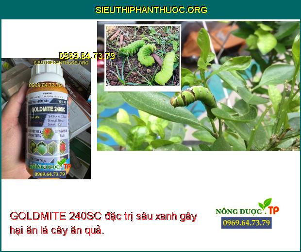GOLDMITE 240SC đặc trị sâu xanh gây hại ăn lá cây ăn quả.