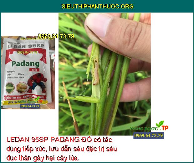LEDAN 95SP PADANG ĐỎ có tác dụng tiếp xúc, lưu dẫn sâu đặc trị sâu đục thân gây hại cây lúa.