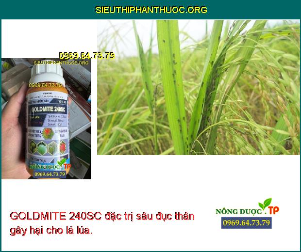 GOLDMITE 240SC đặc trị sâu đục thân gây hại cho lá lúa.