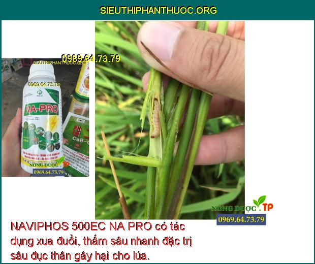 NAVIPHOS 500EC NA PRO có tác dụng xua đuổi, thấm sâu nhanh đặc trị sâu đục thân gây hại cho lúa.