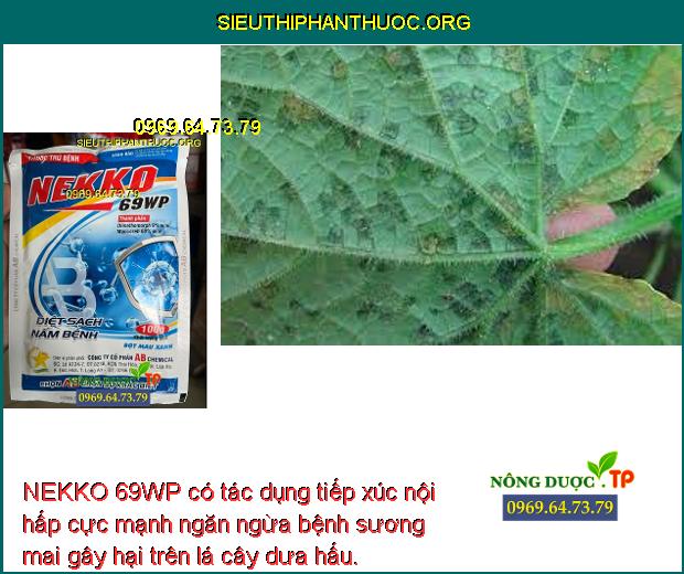 NEKKO 69WP có tác dụng tiếp xúc nội hấp cực mạnh ngăn ngừa bệnh sương mai gây hại trên lá cây dưa hấu.