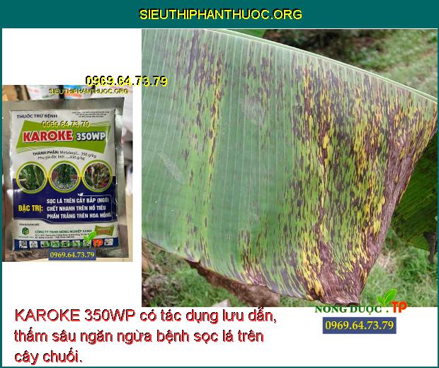 KAROKE 350WP có tác dụng lưu dẫn, thấm sâu ngăn ngừa bệnh sọc lá trên cây chuối.