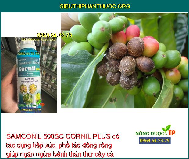 SAMCONIL 500SC CORNIL PLUS có tác dụng tiếp xúc, phổ tác động rộng giúp ngăn ngừa bệnh thán thư cây cà phê.