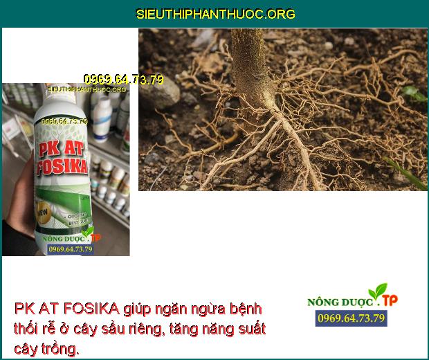 PK AT FOSIKA giúp ngăn ngừa bệnh thối rễ ở cây sầu riêng, tăng năng suất cây trồng.