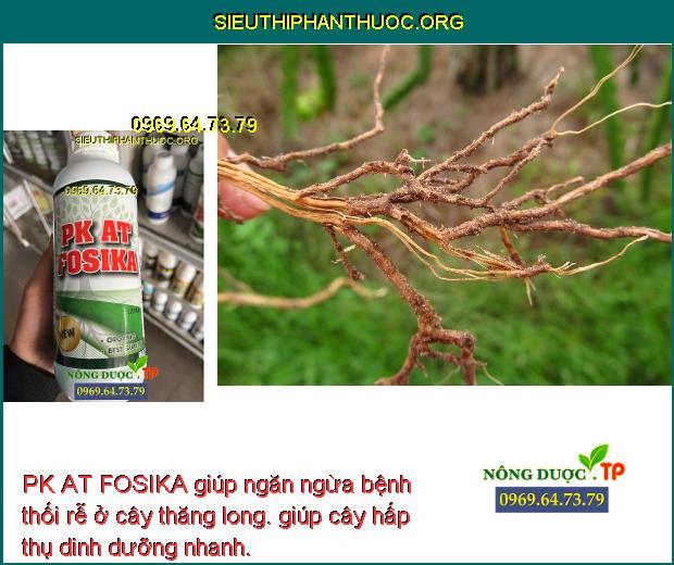 PK AT FOSIKA giúp ngăn ngừa bệnh thối rễ ở cây thăng long. giúp cây hấp thụ dinh dưỡng nhanh.