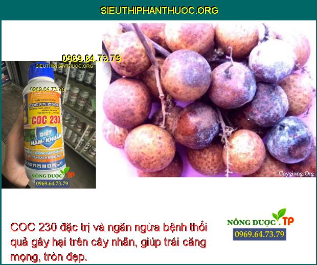 COC 230 đặc trị và ngăn ngừa bệnh thối quả gây hại trên cây nhãn, giúp trái căng mọng, tròn đẹp.