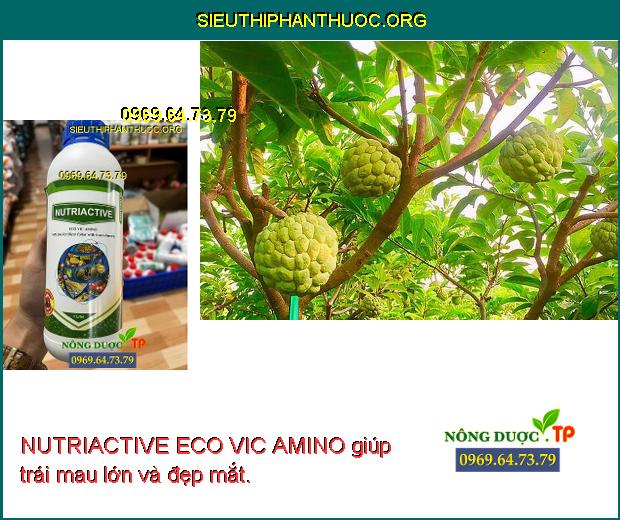 NUTRIACTIVE ECO VIC AMINO giúp trái mau lớn và đẹp mắt.