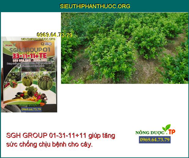 SGH GROUP 01-31-11+11 giúp tăng sức chống chịu bệnh cho cây.
