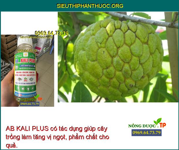 AB KALI PLUS có tác dụng giúp cây trồng làm tăng vị ngọt, phẩm chất cho quả.