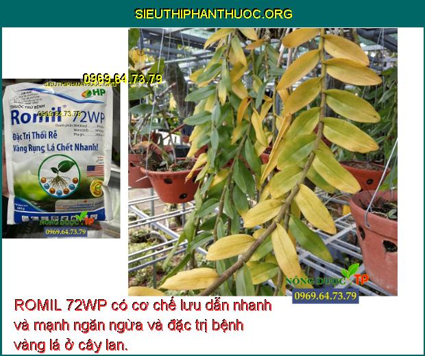 ROMIL 72WP có cơ chế lưu dẫn nhanh và mạnh ngăn ngừa và đặc trị bệnh vàng lá ở cây lan.