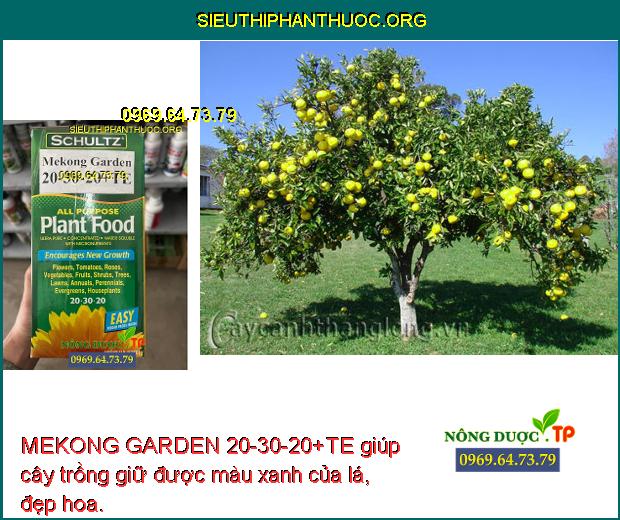 MEKONG GARDEN 20-30-20+TE giúp cây trồng giữ được màu xanh của lá, đẹp hoa.
