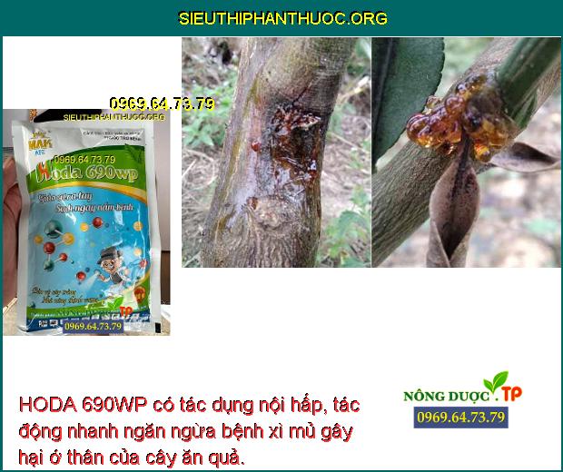 HODA 690WP có tác dụng nội hấp, tác động nhanh ngăn ngừa bệnh xì mủ gây hại ớ thân của cây ăn quả.