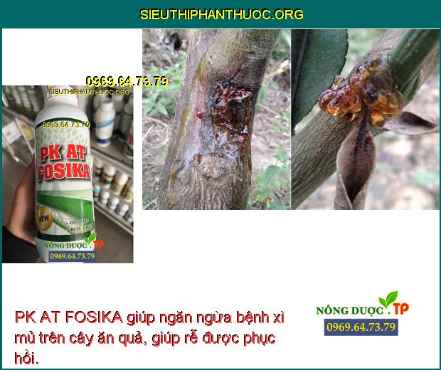 PK AT FOSIKA giúp ngăn ngừa bệnh xì mủ trên cây ăn quả, giúp rễ được phục hồi.