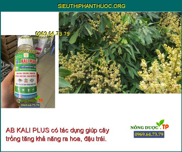 AB KALI PLUS có tác dụng giúp cây trồng tăng khả năng ra hoa, đậu trái.