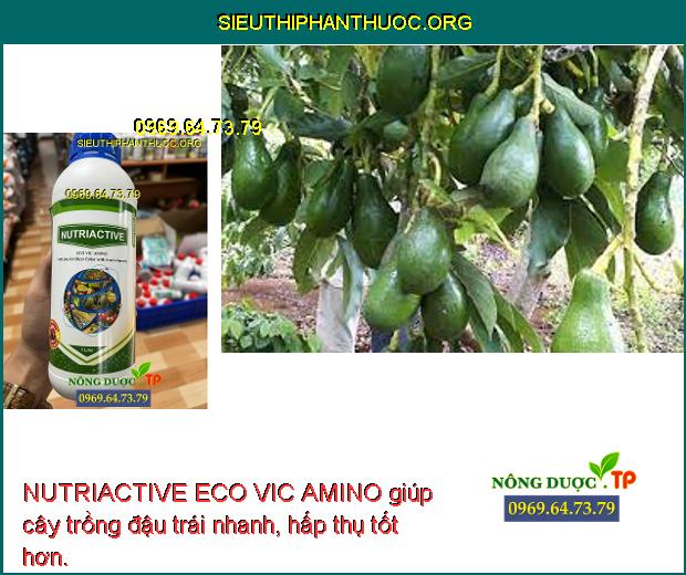 NUTRIACTIVE ECO VIC AMINO giúp cây trồng đậu trái nhanh, hấp thụ tốt hơn.