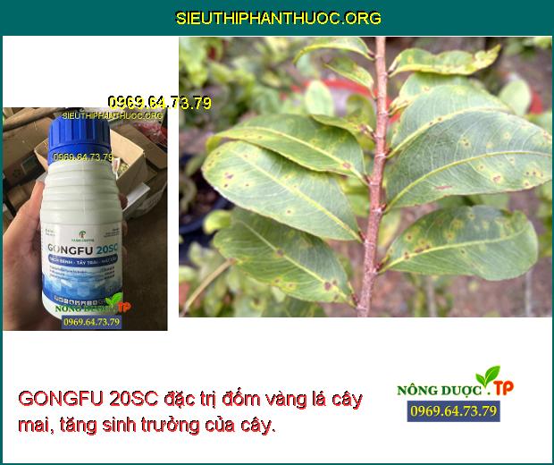 GONGFU 20SC đặc trị đốm vàng lá cây mai, tăng sinh trưởng của cây.