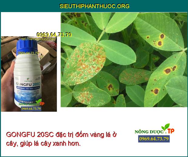 GONGFU 20SC đặc trị đốm vàng lá ở cây, giúp lá cây xanh hơn.