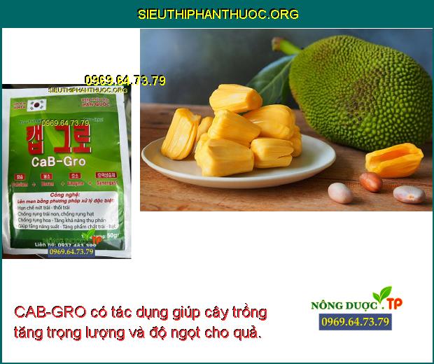 CAB-GRO có tác dụng giúp cây trồng tăng trọng lượng và độ ngọt cho quả.