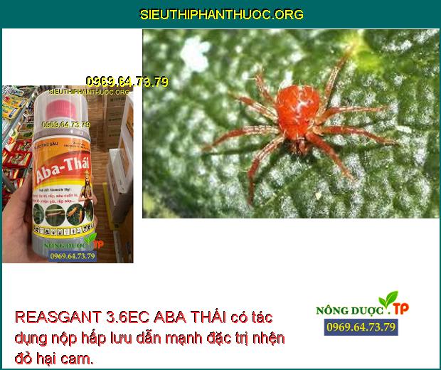 REASGANT 3.6EC ABA THÁI có tác dụng nộp hấp lưu dẫn mạnh đặc trị nhện đỏ hại cam.