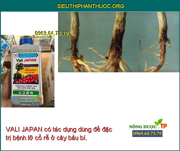 VALI JAPAN có tác dụng dùng để đặc trị bệnh lỡ cổ rễ ở cây bầu bí.