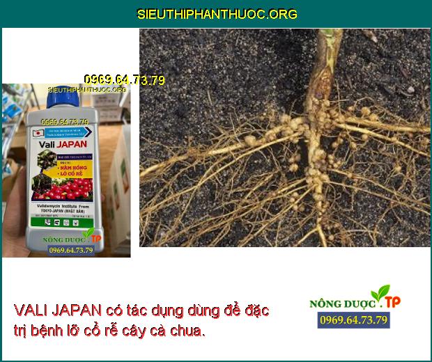 VALI JAPAN có tác dụng dùng để đặc trị bệnh lỡ cổ rễ cây cà chua.