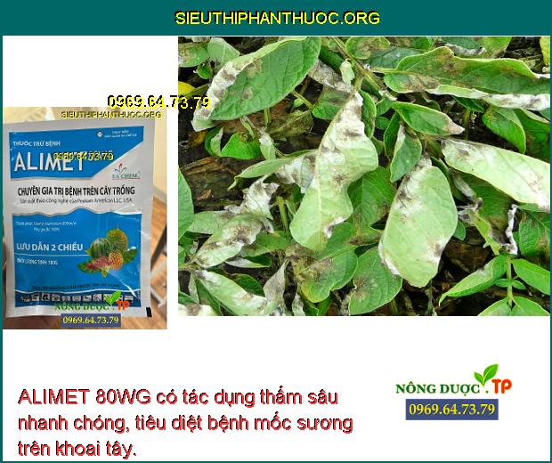 ALIMET 80WG có tác dụng thấm sâu nhanh chóng, tiêu diệt bệnh mốc sương trên khoai tây.