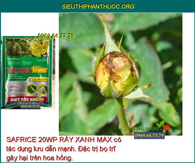 SAFRICE 20WP RẦY XANH MAX có tác dụng lưu dẫn mạnh. Đặc trị bọ trĩ gây hại trên hoa hồng.